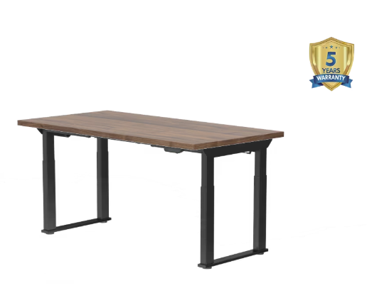 S4 Pro 4-Leg Standing Desk