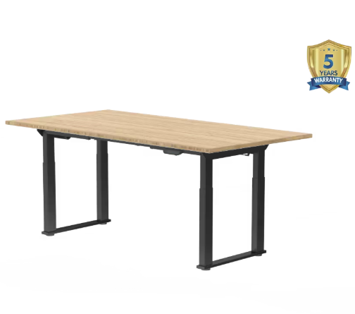 S4 Pro 4-Leg Standing Desk