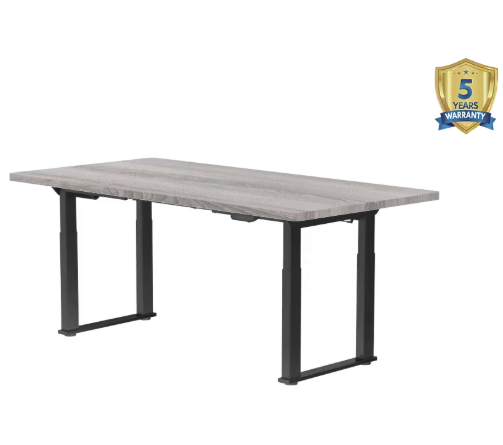 S4 Pro 4-Leg Standing Desk