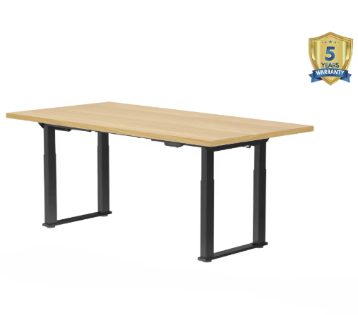 S4 Pro 4-Leg Standing Desk