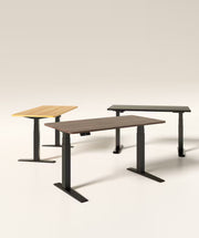 S3 Pro Standing Desk