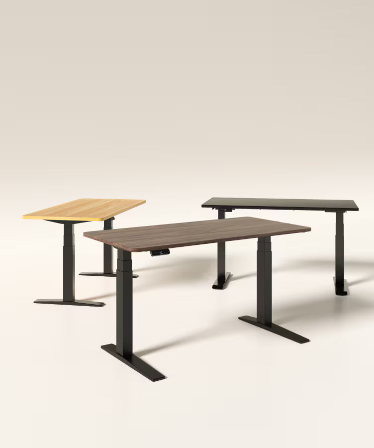 S3 Pro Standing Desk