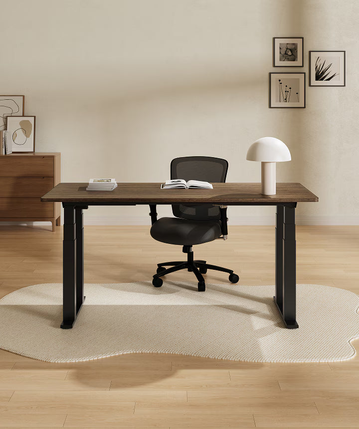 S4 Pro 4-Leg Standing Desk