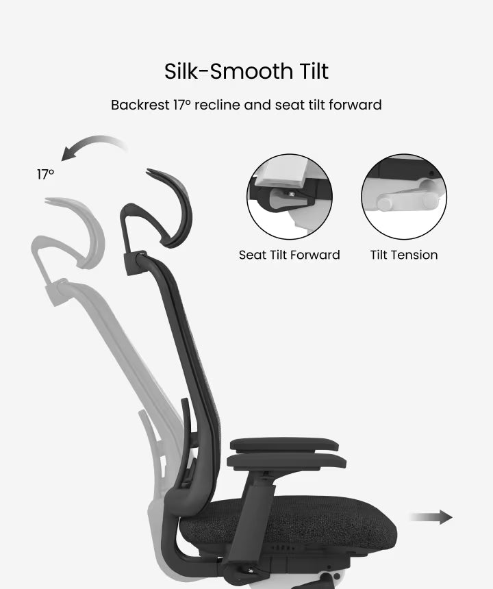 Ergonomic Sheer Chair