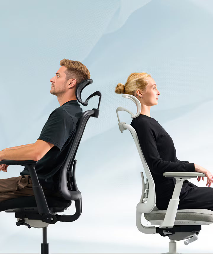 Ergonomic Sheer Chair