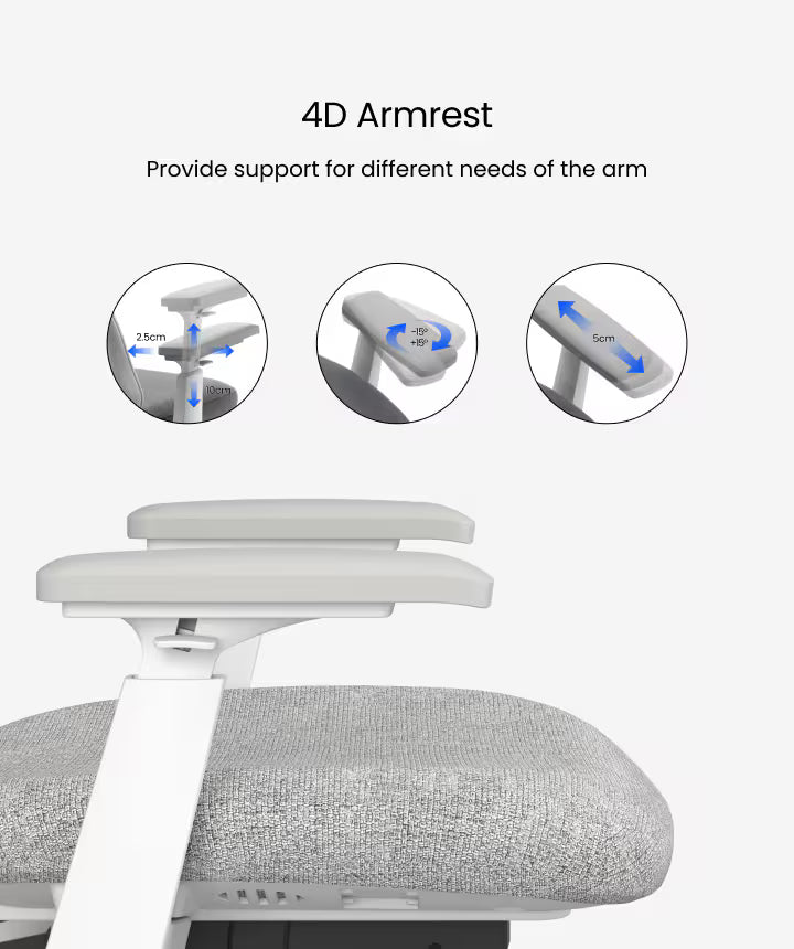 Ergonomic Sheer Chair