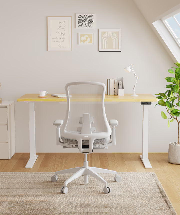 Ergonomic Sheer Chair