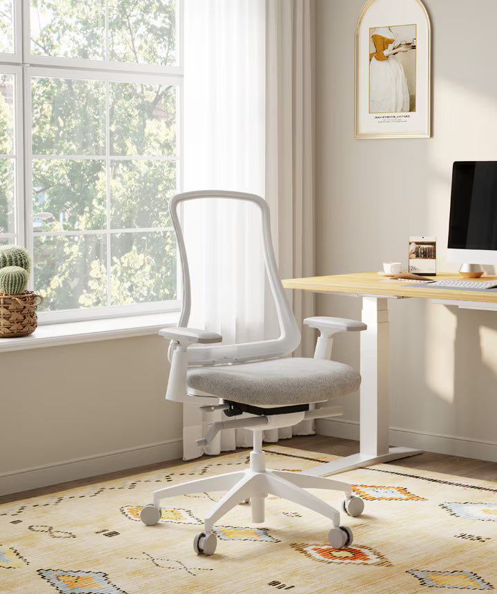 Ergonomic Sheer Chair