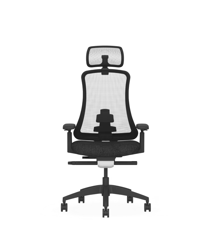 Ergonomic Sheer Chair