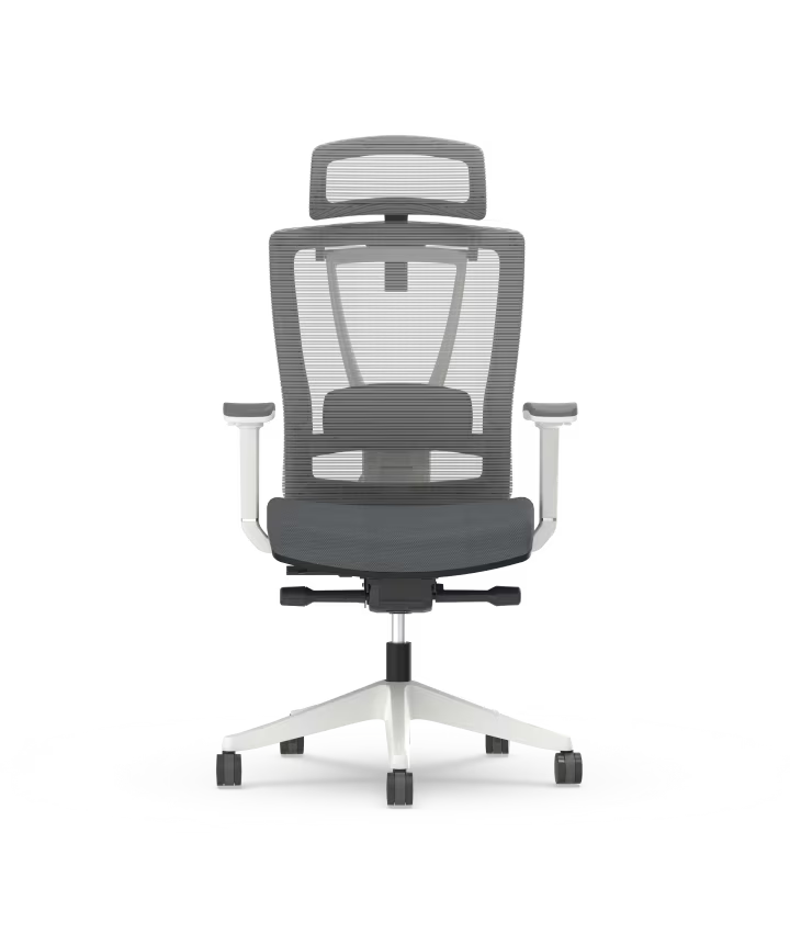 Ergonomic Multi Chair