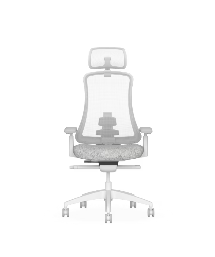 Ergonomic Sheer Chair