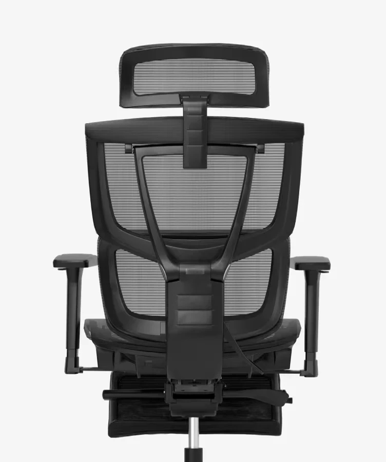 Ergonomic Dynamic Chair