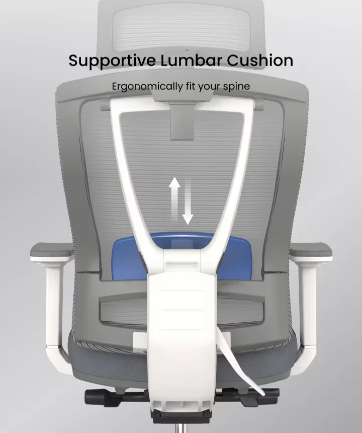 Ergonomic Multi Chair