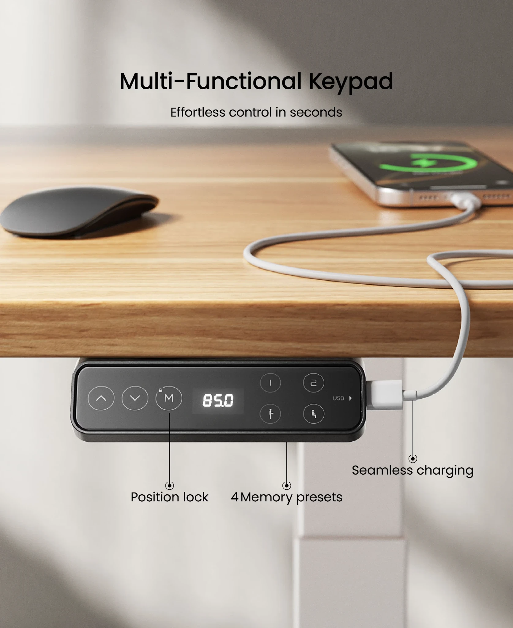 S3 Pro Standing Desk