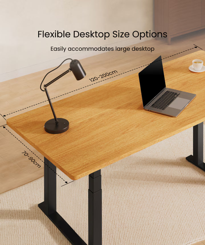 S4 Pro 4-Leg Standing Desk