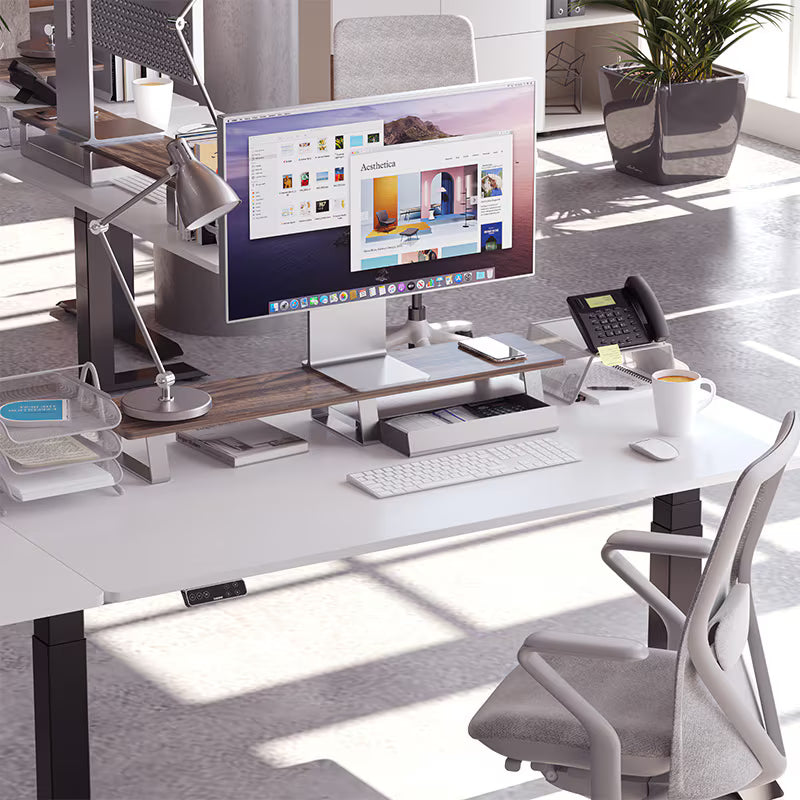 Monitor Stand with storage