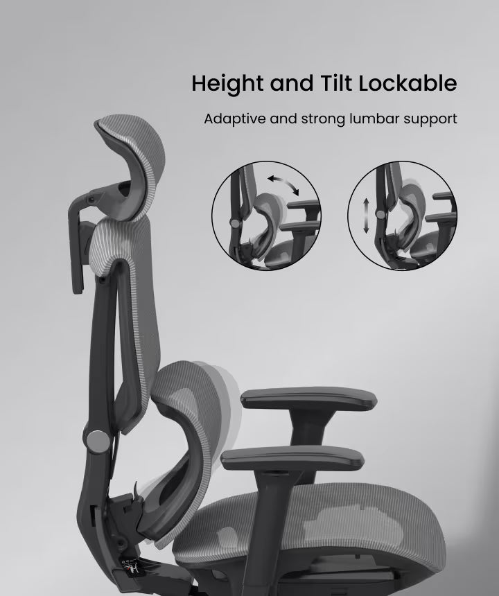 Ergonomic Dynamic Chair