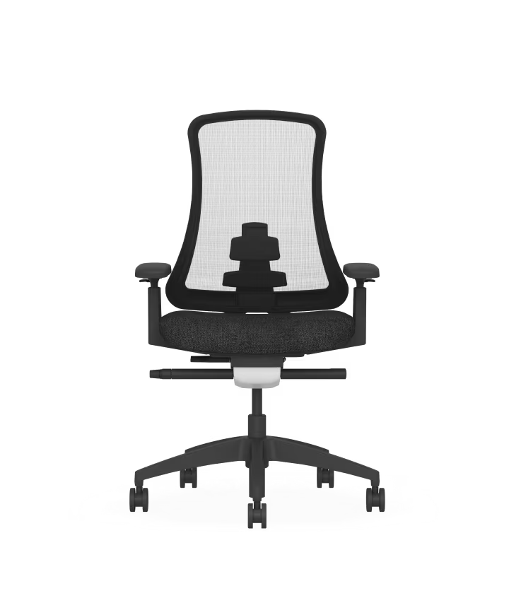 Ergonomic Sheer Chair